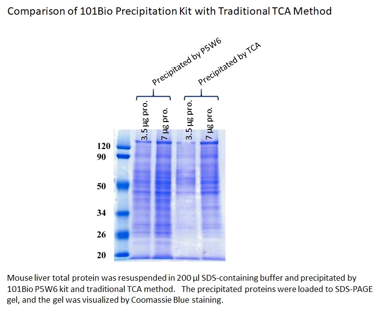 better than TCA protein precipitation