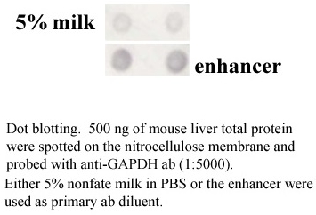 antibody enhancer, high sensitivity