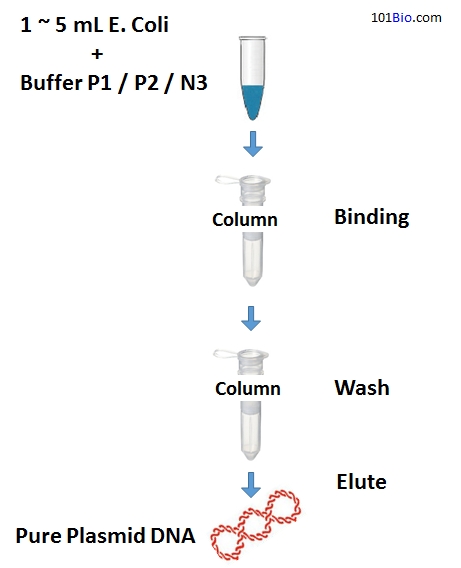 Pure Plasmid DNA Miniprep Kit, Plasmid DNA purification Kit