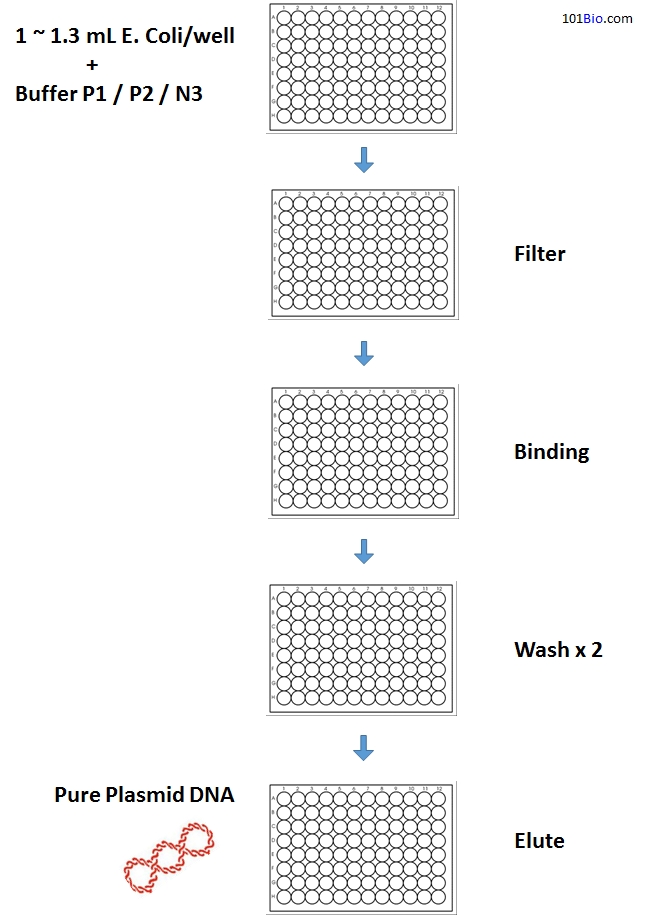 Pure Plasmid DNA 96 Miniprep Kit, Plasmid DNA 96 purification Kit