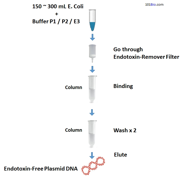 Endotoxin-Free Plasmid DNA Maxiprep Kit, EndoFree Plasmid DNA purification Kit