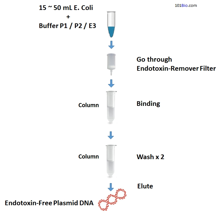 Endotoxin-Free Plasmid DNA Midiprep Kit, EndoFree Plasmid DNA purification Kit