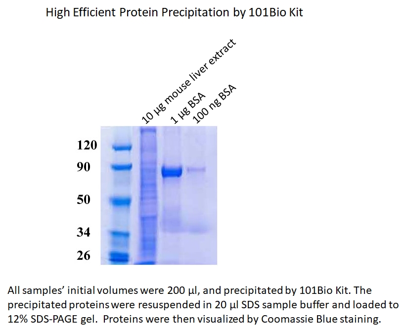 High Efficiency Protein Precipitation kit