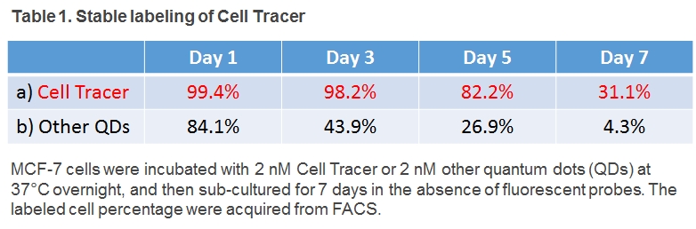 Long-term Cell Tracer, stable labeling