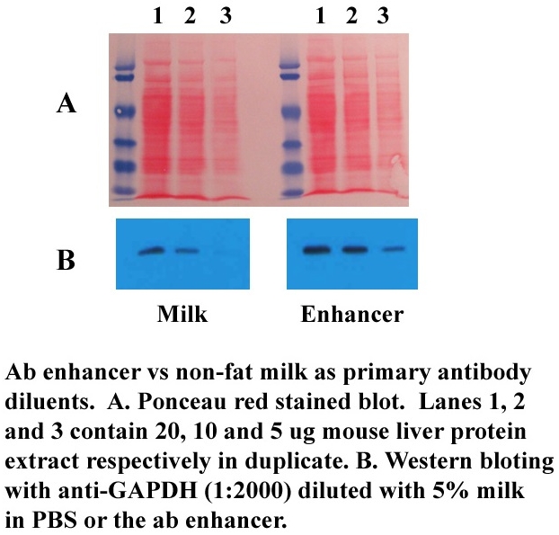 antibody enhancer, save antibody