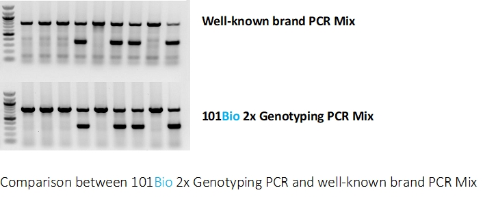 2x Genotyping PCR Ready Master Mix /