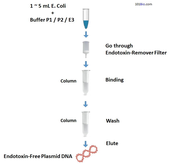 Endotoxin-Free Plasmid DNA Miniprep Kit, EndoFree Plasmid DNA purification Kit