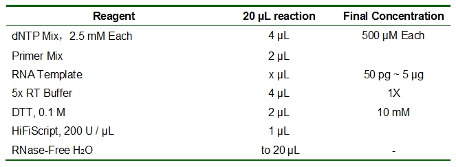HiFiScript 1st Strand cDNA Synthesis Kit