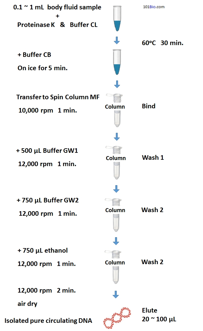 serum circulating cell-free DNA (cfDNA) isolation kit